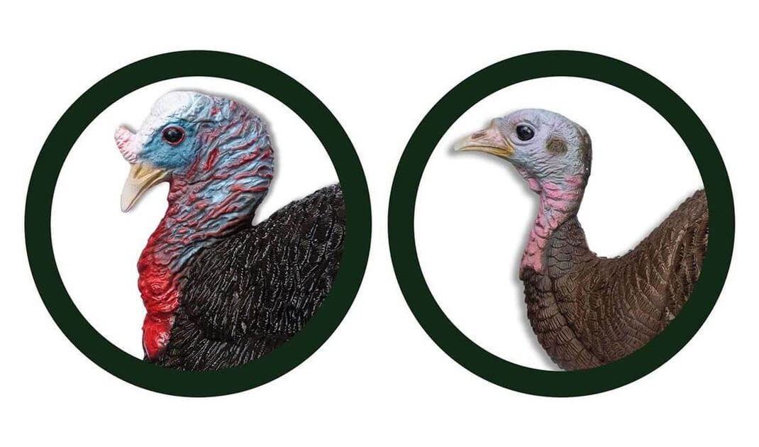 Primos Hunting Lil Gobstopper Hen and Jake Combo Decoy Light-Weight, Collapsible Hunting Decoy 69075