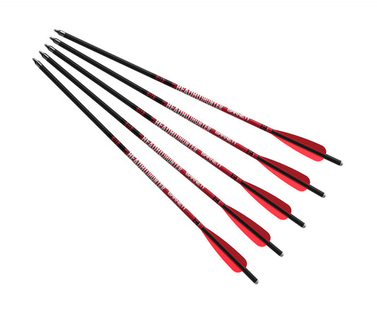 Barnett Outdoors Headhunter 20" Carbon Crossbow Arrows 5-Pack, Lightweight Hunting Bolts with Half-Moon Nock and Field Points Included