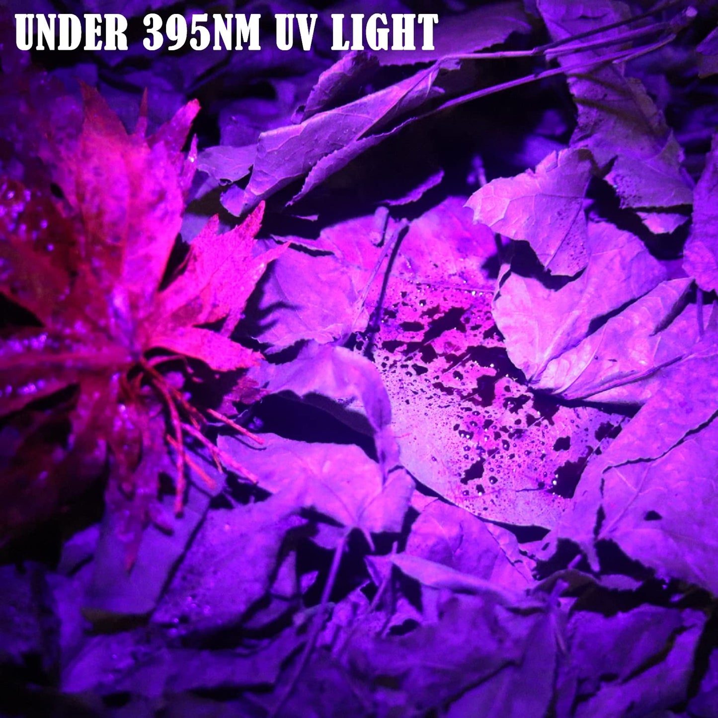 LUMENSHOOTER B2 Blood Tracking Light for Deer, Blood Tracker Flashlight for Hunting, Deer Hunting Accessories for Men