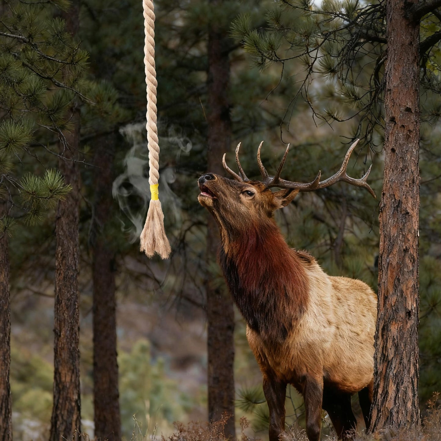 badashun 6.07 FT Extended Hemp Rope for Deer 3 Pcs HempScent Rope Mock Scrape, Hangs Tassels Rope Hemp Deer Accessories