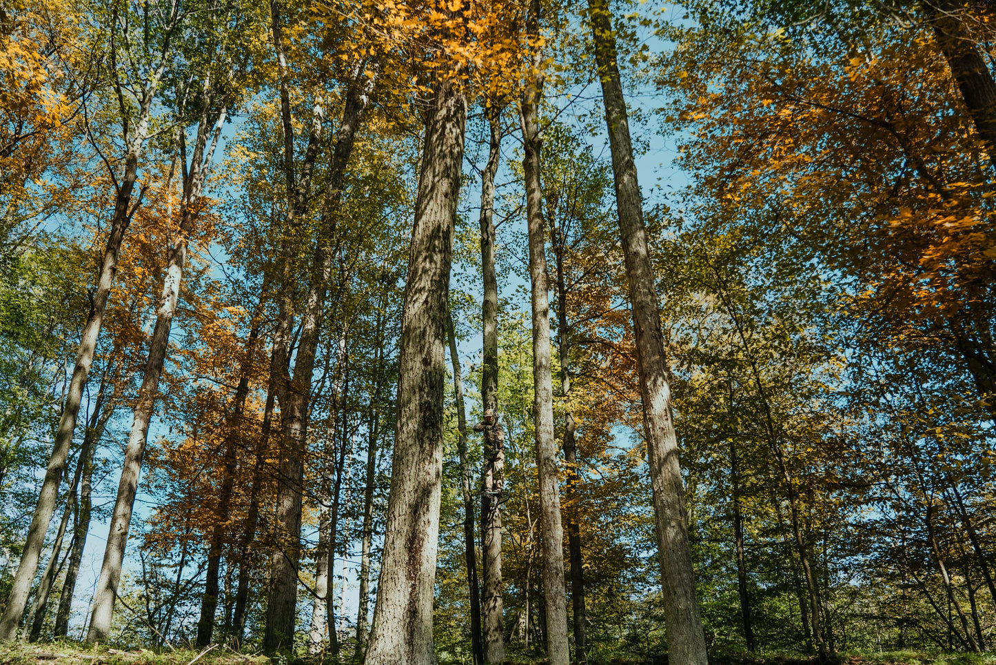 ScentLok Stealth Midweight Fleece Scent Control Camo Hunting Pants for Men (Realtree Edge, Large)